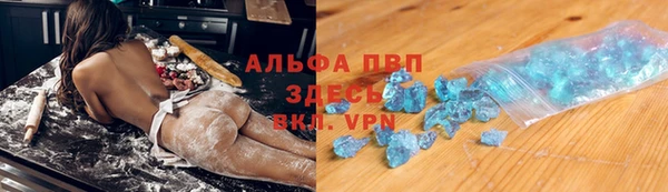 PSILOCYBIN Лабытнанги
