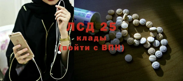 PSILOCYBIN Лабытнанги