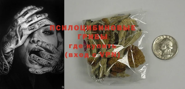 PSILOCYBIN Лабытнанги