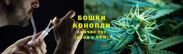 мет Лагань