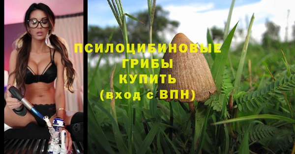 герыч Ладушкин