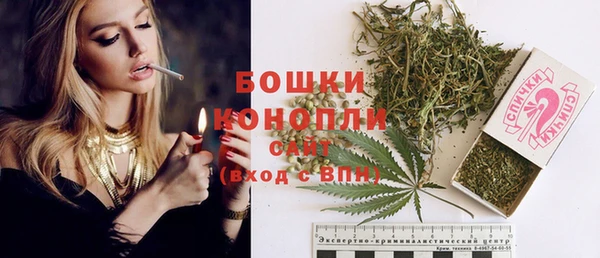 PSILOCYBIN Лабытнанги