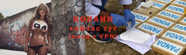 мет Лагань
