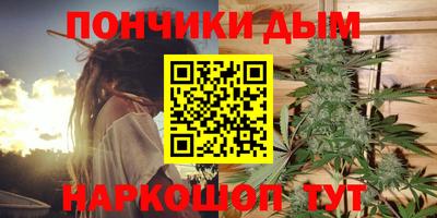 PSILOCYBIN Кимры