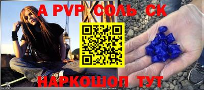 бошки Кингисепп