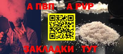 бошки Кингисепп