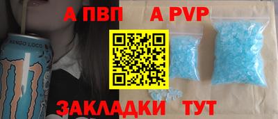 бошки Кингисепп