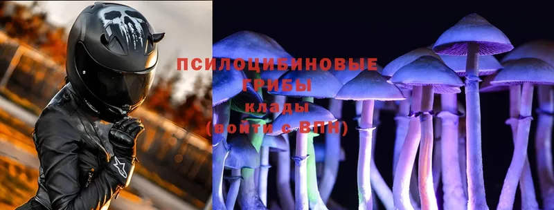 Псилоцибиновые грибы MAGIC MUSHROOMS  ссылка на мегу tor  Дюртюли 