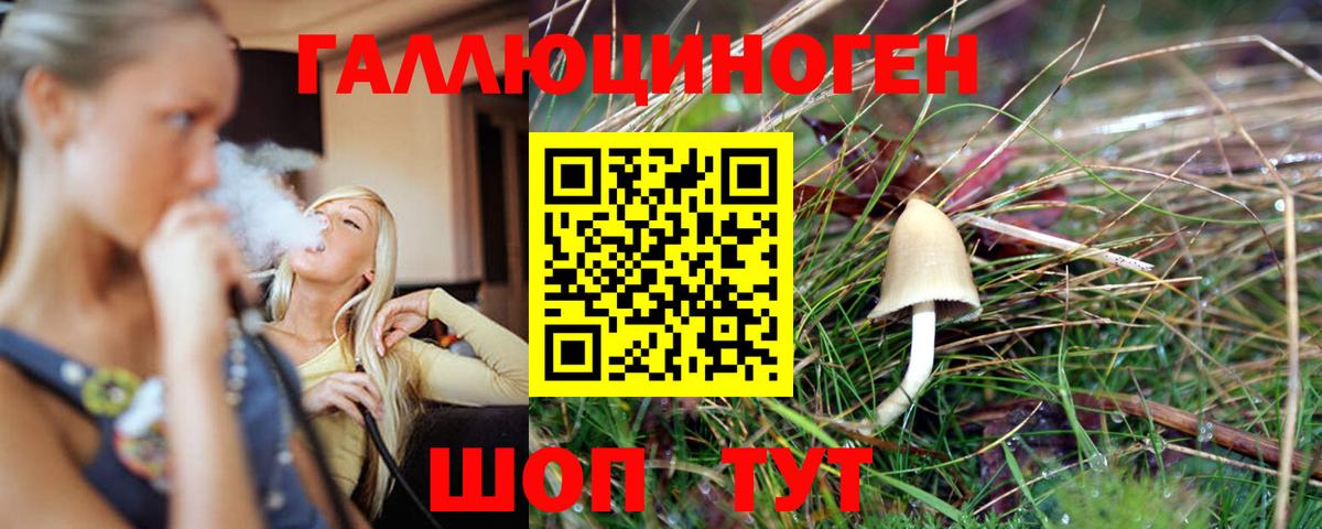 Псилоцибиновые грибы Magic Shrooms Дюртюли